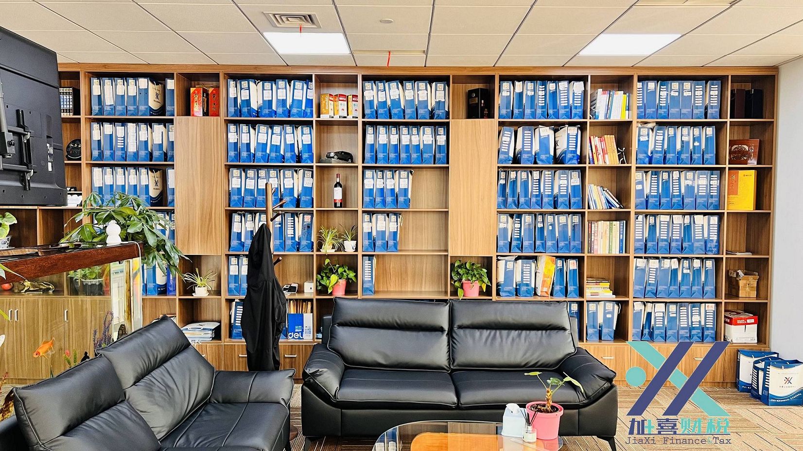 Principio de independencia en auditoría y consideraciones para la selección de auditores  